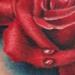 Tattoos - REALISTIC ROSE - 60907